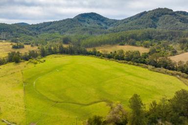 Farm For Sale - NSW - Marlee - 2429 - 692 Acres | Irrigation | Productivity  (Image 2)