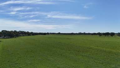 Farm For Sale - VIC - Leitchville - 3567 - 112 Acre Grazing or Turnout Property  (Image 2)