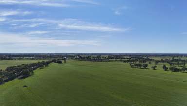 Farm For Sale - VIC - Leitchville - 3567 - 112 Acre Grazing or Turnout Property  (Image 2)