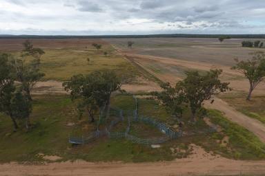 Farm For Sale - QLD - Tara - 4421 - WELL DEVELOPED LARGE SCALE MIXED FARMING OPERATION.  (Image 2)