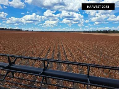 Farm For Sale - QLD - Tara - 4421 - WELL DEVELOPED LARGE SCALE MIXED FARMING OPERATION.  (Image 2)