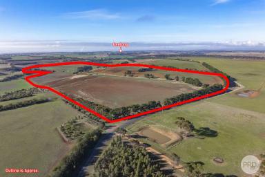 Farm For Sale - VIC - Sutherlands Creek - 3331 - Land Banking Opportunity With Productive Rich Soil On 164 Acres  (Image 2)