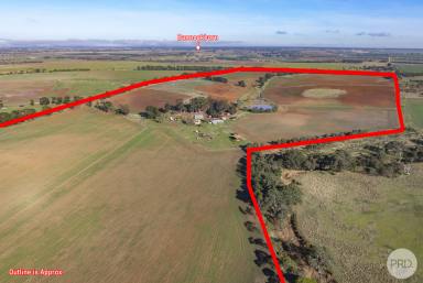 Farm For Sale - VIC - Sutherlands Creek - 3331 - Land Banking Opportunity With Productive Rich Soil On 164 Acres  (Image 2)