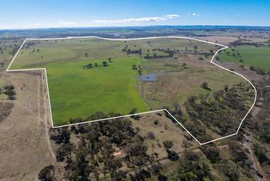 Farm Sold - NSW - Molong - 2866 - "Boomey Hills"  (Image 2)