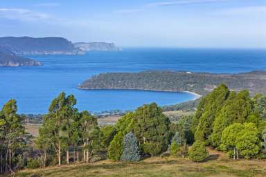 Farm Sold - TAS - Port Arthur - 7182 - 25 acres of land - the address says it all!  (Image 2)