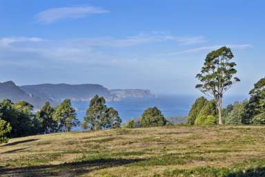 Farm Sold - TAS - Port Arthur - 7182 - 25 acres of land - the address says it all!  (Image 2)