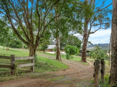 Farm For Sale - NSW - Rosebank - 2480 - Retreat Style Living - 98 Acre Sustainable Oasis With Grazing and Greenhouse  (Image 2)