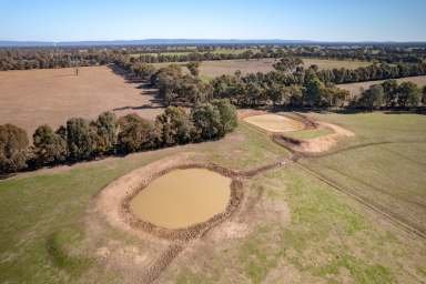 Farm For Sale - VIC - Byawatha - 3678 - A Productive Hidden Gem Only 60kms* to Albury  (Image 2)