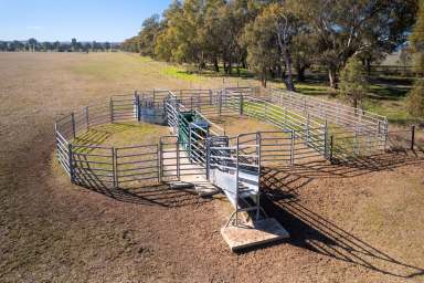 Farm For Sale - VIC - Byawatha - 3678 - A Productive Hidden Gem Only 60kms* to Albury  (Image 2)