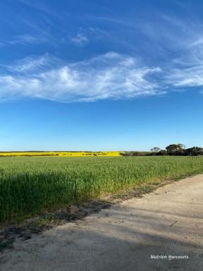 Farm For Sale - WA - Pingaring - 6357 - "Stent's" - Pingaring  (Image 2)