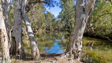 Farm For Sale - QLD - Bungundarra - 4703 - 260 Acres at Bungundarra  (Image 2)