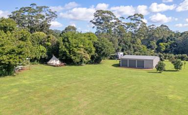 Farm Sold - QLD - Tamborine Mountain - 4272 - Perfect Ten Acres of Usable Land to Design Your Dream Home  (Image 2)