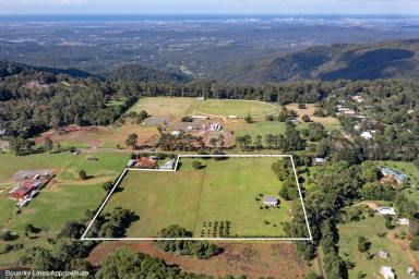 Farm Sold - QLD - Tamborine Mountain - 4272 - Perfect Ten Acres of Usable Land to Design Your Dream Home  (Image 2)