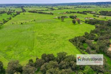 Farm For Sale - WA - Brunswick - 6224 - Family Farm in Brunswick  (Image 2)