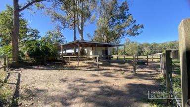 Farm For Sale - QLD - Tinana - 4650 - Horse Friendly Acreage, 10 mins from Maryborough (Q) CBD  (Image 2)