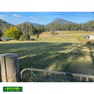 Farm For Sale - NSW - Bundook - 2422 - GREAT OUTLOOK - GOOD SOIL - COUNTRY VILLAGE  (Image 2)