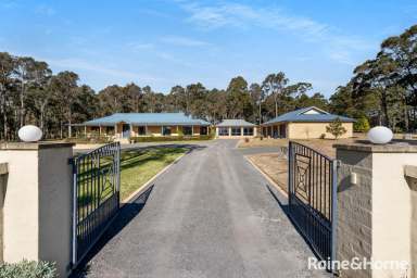 Farm For Sale - NSW - Nowra Hill - 2540 - So Many Extras  (Image 2)