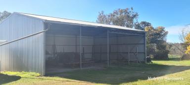 Farm For Sale - WA - Boscabel - 6394 - Lifestyle Property with plenty of accommodation in a Central Location!  (Image 2)