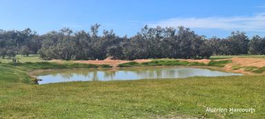 Farm For Sale - WA - Boscabel - 6394 - Lifestyle Property with plenty of accommodation in a Central Location!  (Image 2)