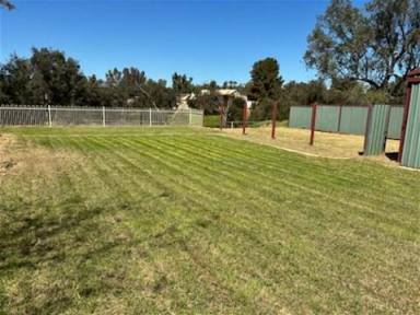 Farm For Sale - WA - Northam - 6401 - Dream Landholding on the Banks of Mortlock River.  (Image 2)