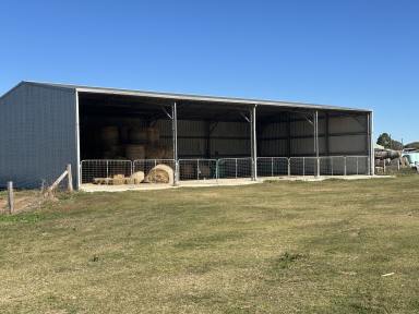 Farm Auction - QLD - Nanango - 4615 - Established irrigation, unlimited bore water, fodder  to drought proof your property!!  (Image 2)