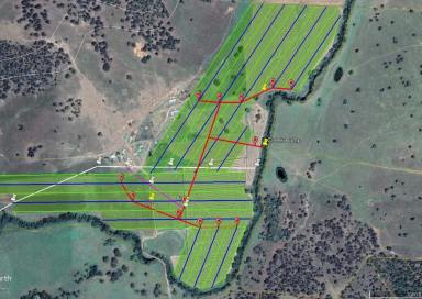 Farm Auction - QLD - Nanango - 4615 - Established irrigation, unlimited bore water, fodder  to drought proof your property!!  (Image 2)