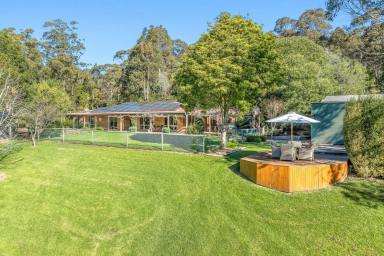 Farm For Sale - NSW - Narooma - 2546 - Six Acres of Bliss  (Image 2)