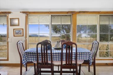 Farm For Sale - VIC - Clunes - 3370 - Country Retreat for the Family with Excellent Shedding  (Image 2)