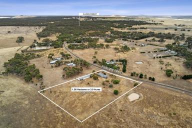 Farm For Sale - VIC - Clunes - 3370 - Country Retreat for the Family with Excellent Shedding  (Image 2)