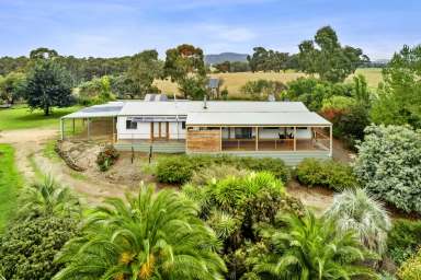 Farm For Sale - VIC - Clunes - 3370 - Contemporary Living in a Country Setting  (Image 2)