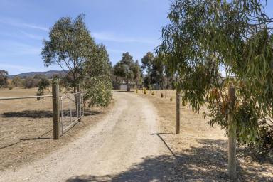 Farm For Sale - VIC - Clunes - 3370 - Prime Regional Land Opportunity  (Image 2)