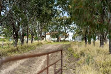 Farm Sold - QLD - Clontarf - 4357 - Blue-chip versatile, productive rural property!  (Image 2)