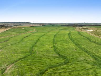 Farm Auction - QLD - Clontarf - 4357 - Blue-chip versatile, productive rural property!  (Image 2)