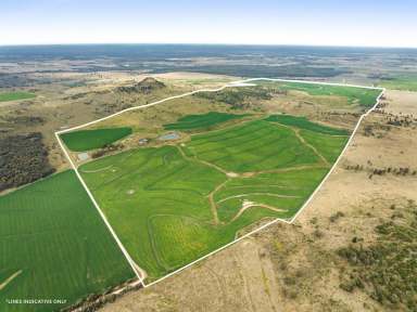 Farm Sold - QLD - Clontarf - 4357 - Blue-chip versatile, productive rural property!  (Image 2)