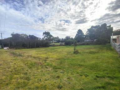 Farm For Sale - TAS - Strahan - 7468 - Sensational Strahan  (Image 2)