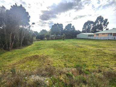 Farm For Sale - TAS - Strahan - 7468 - Sensational Strahan  (Image 2)