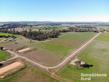 Farm For Sale - NSW - Kikiamah - 2594 - AAA AGRICULTURAL ACREAGE  (Image 2)