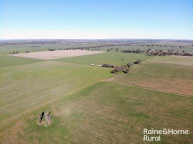 Farm For Sale - NSW - Kikiamah - 2594 - AAA AGRICULTURAL ACREAGE  (Image 2)