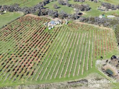 Farm Sold - NSW - Young - 2594 - FRUITFUL ACREAGE  (Image 2)