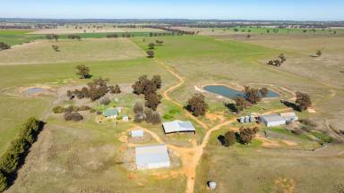 Farm Auction - NSW - Yerong Creek - 2642 - Mixed Farming at Yerong Creek - 287 Hectares  (Image 2)