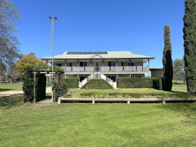 Farm For Sale - NSW - Moree - 2400 - AN INVITING LIFESTYLE IN A TRANQUIL SETTING  (Image 2)