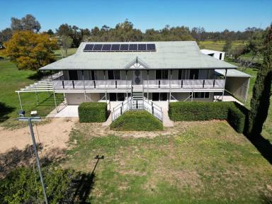 Farm For Sale - NSW - Moree - 2400 - AN INVITING LIFESTYLE IN A TRANQUIL SETTING  (Image 2)