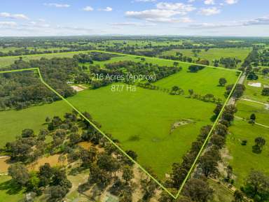 Farm For Sale - VIC - Benalla - 3672 - FOUR MILE GROVE -Attractive Rural 215 Ac to Farm, Divide or Develop  (Image 2)