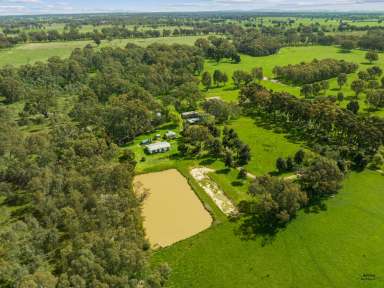 Farm For Sale - VIC - Benalla - 3672 - FOUR MILE GROVE -Attractive Rural 215 Ac to Farm, Divide or Develop  (Image 2)