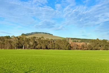 Farm For Sale - VIC - Boorcan - 3265 - Prime Dairy - Beef - Fodder Conservation Property  (Image 2)