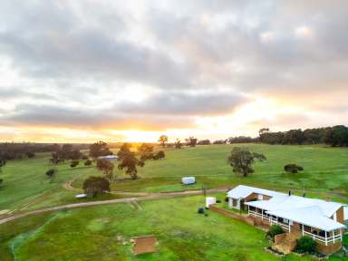 Farm For Sale - WA - Kojonup - 6395 - "MENHIR" | 163 Fulcher Rd | KOJONUP  (Image 2)