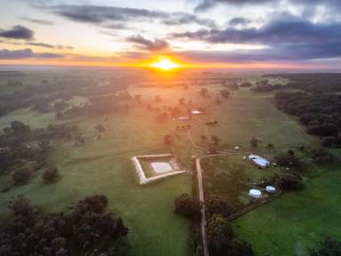 Farm For Sale - WA - Kojonup - 6395 - "MENHIR" | 163 Fulcher Rd | KOJONUP  (Image 2)