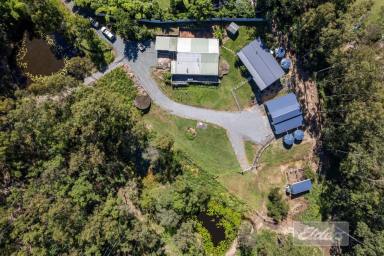 Farm For Sale - QLD - Tamaree - 4570 - 9.25acs of Privacy Close to the City!  (Image 2)