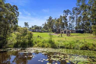 Farm For Sale - QLD - Tamaree - 4570 - 9.25acs of Privacy Close to the City!  (Image 2)