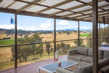 Farm For Sale - NSW - Tantawangalo - 2550 - Perfect Family Lifestyle Property  (Image 2)